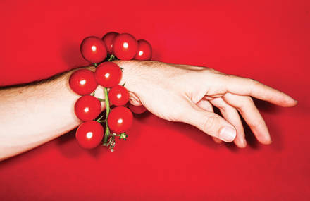 Taste Shapes According to the Nature