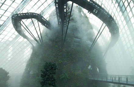 Futuristic Biome Structures in Singapore Offer Breath-Taking Sights