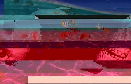 T R O P I C A L I S M