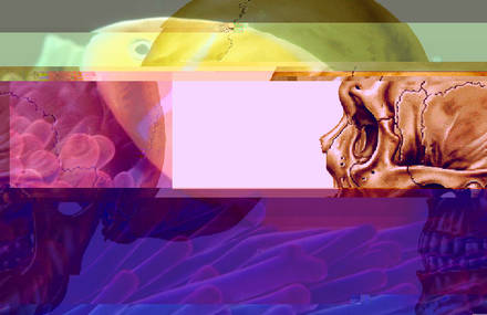T R O P I C A L I S M