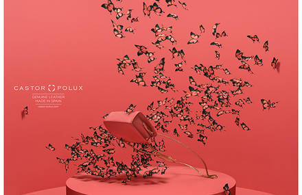 Fashion Complements Photography