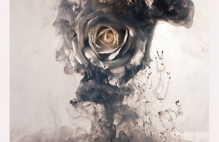New ‘Editors’ album featuring photography by Charles Emerson