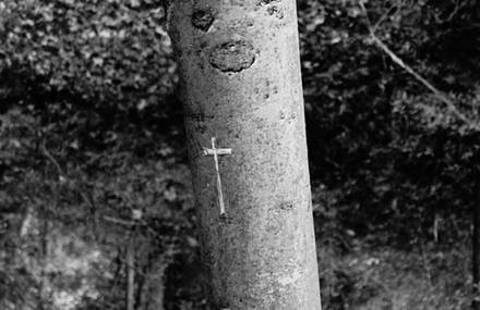 RE†FA, UN CONCERT-PERFORMANCE D’ÉLODIE LESOURD / 17 FEVRIER / 20H
