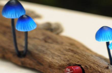Better in the dark: Mushroom LED lamps