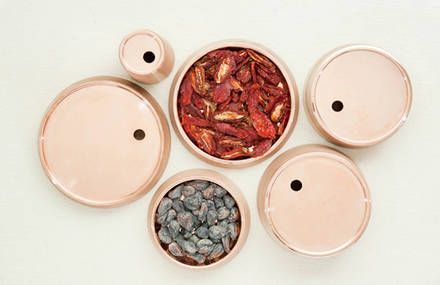 BASE Containers by bravo!
