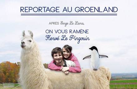 Reportage au Groenland