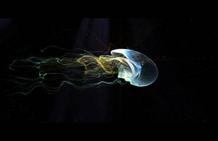 – RIZOSTOMA / QUINZEQUINZE –