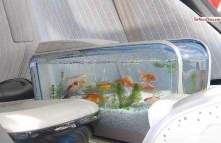 Chinese Car with an in-built Fish Tank