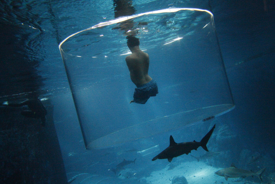 Vujicic, an Australian motivational speaker who was born without limbs, swims with sharks at the Marine Life Park in Singapore