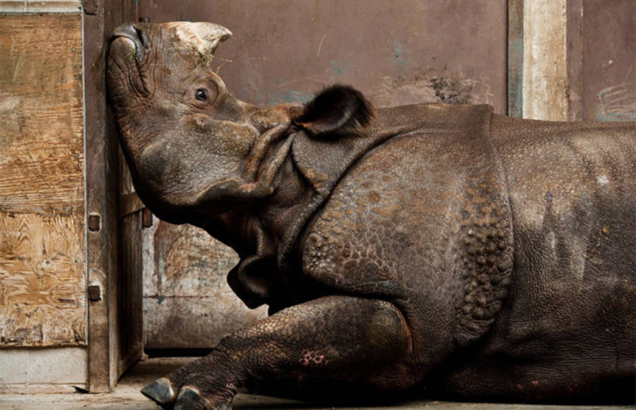 2013 National Geographic Contest Winners