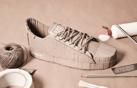 Adidas Originals with Cardboard