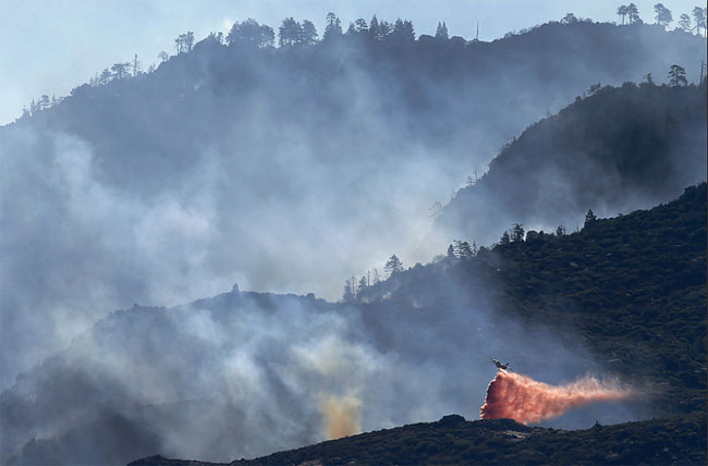 Associated Press Best Pictures 2013-26