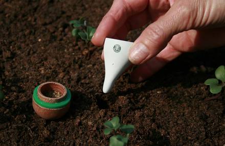 Guerilla Gardening Starbucks Style