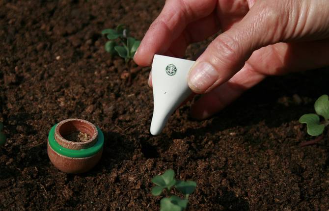 Guerilla Gardening Starbucks Style