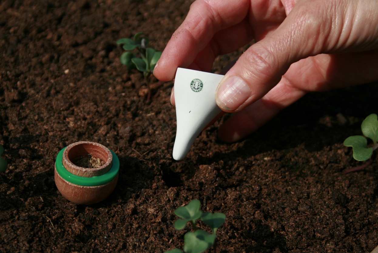 Guerilla Gardening Starbucks Style3