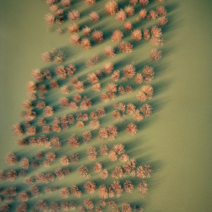 Kite Perspectives-8