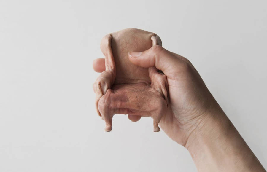 Sculpted Skin Furniture