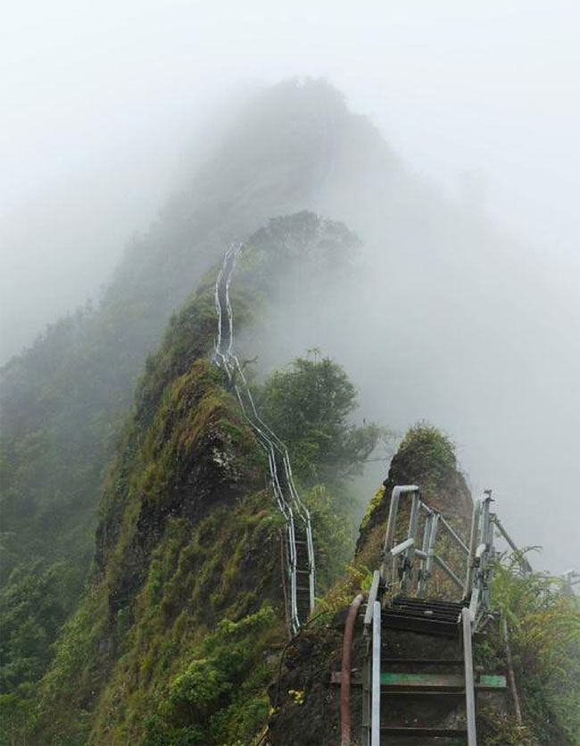 Stairway to Heaven in Hawaii6