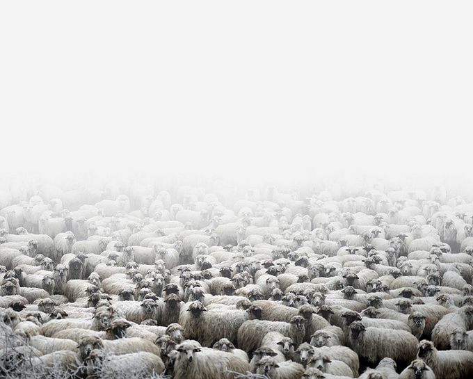 Tamas Dezso Photography-19