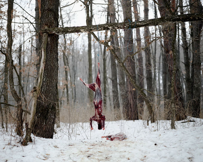 Tamas Dezso Photography-29