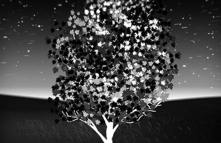 Before the Trees