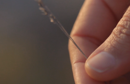 Wrinkle – Short Film