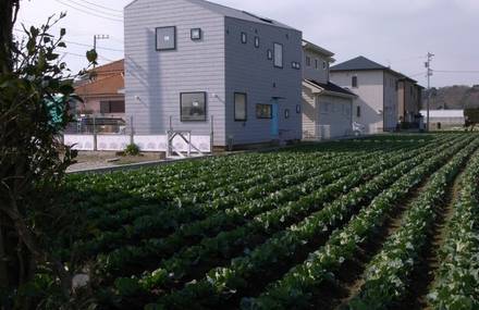 House in Oiso by Atelier HAKO Architects