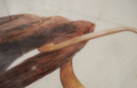 Natural Historic Ice