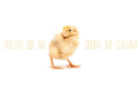 THE CHICK WHO DIDN’T WANT TO BECOME A CHICKEN