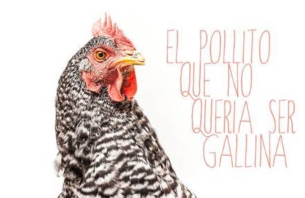 THE CHICK WHO DIDN’T WANT TO BECOME A CHICKEN