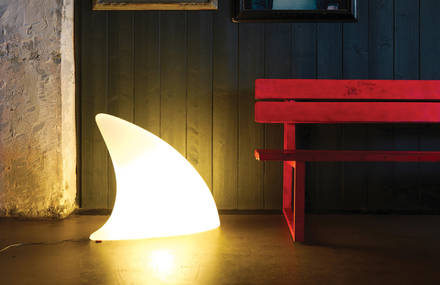 Shark lamp