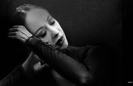 Flamenco Negro.