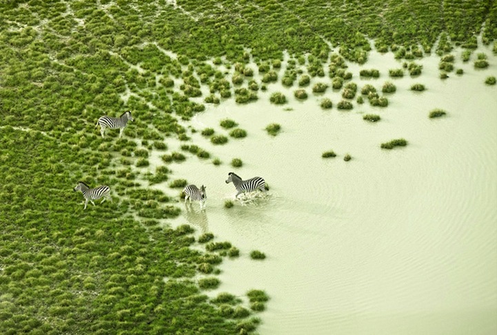 Aerial Photos of Botswana Wildlife-1