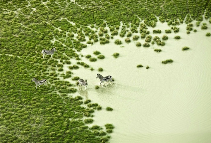 Aerial Photos of Botswana Wildlife-1
