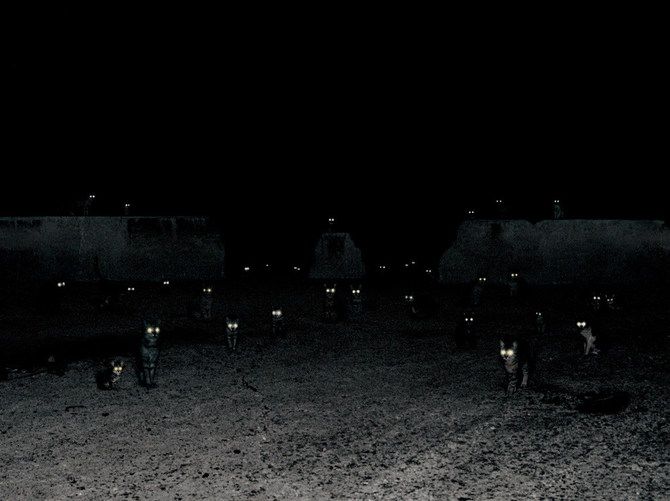 Andrea Galvani 16