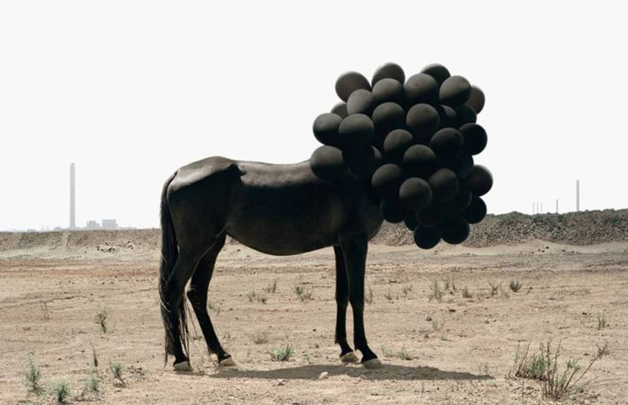 Andrea Galvani Photography