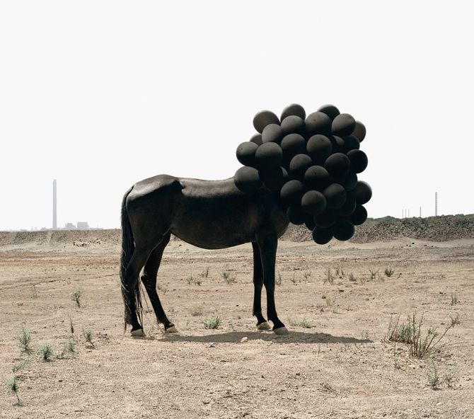 Andrea Galvani 7