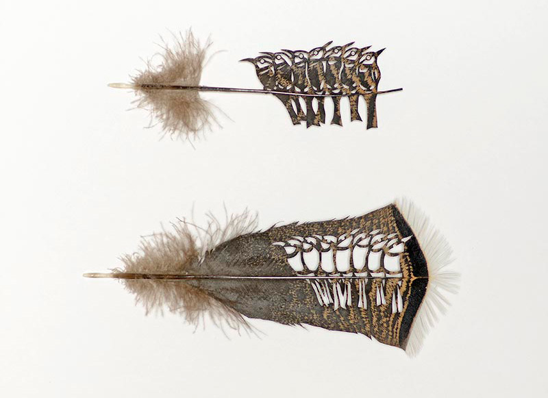 Feather Marvels by Chris Maynard