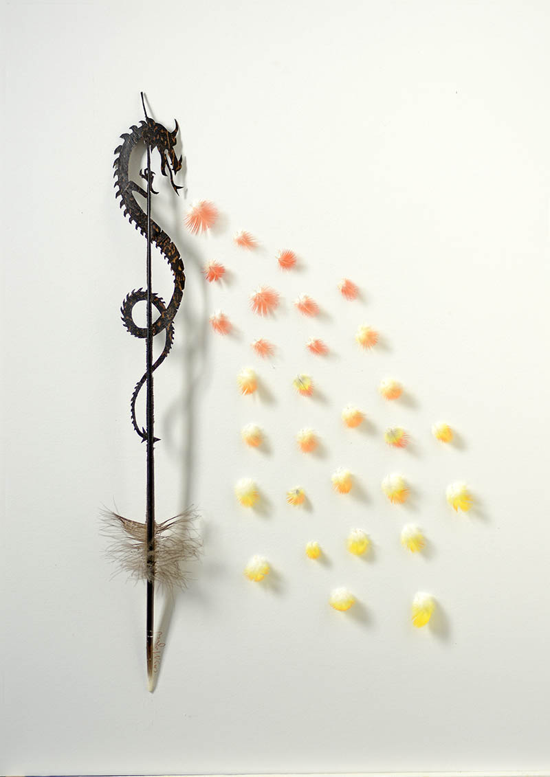 Feather Marvels by Chris Maynard4