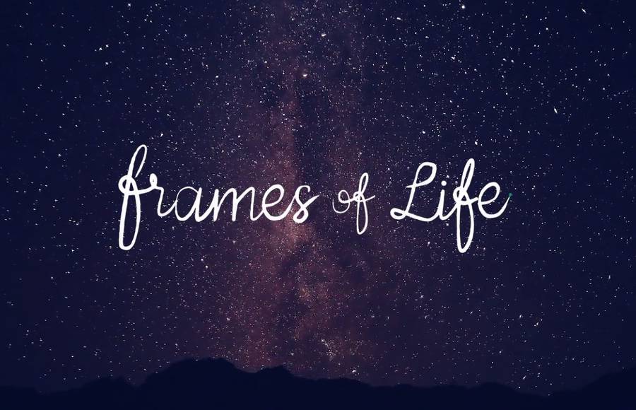 Frames of Life