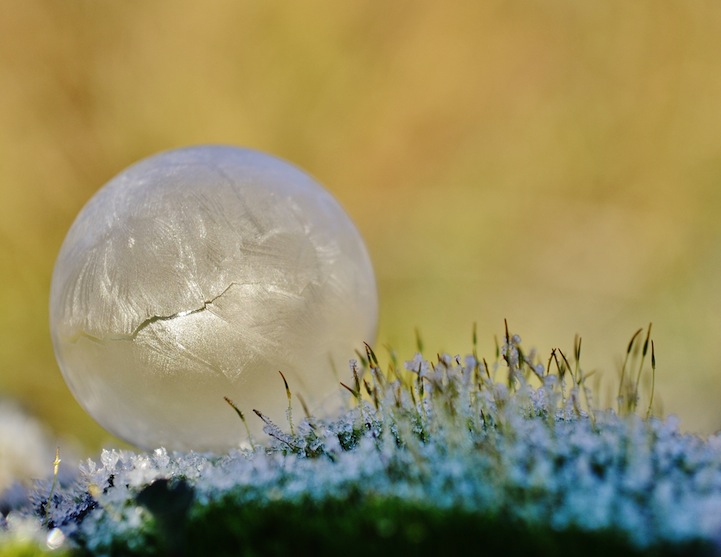 Frozen Bubbles Photography-4