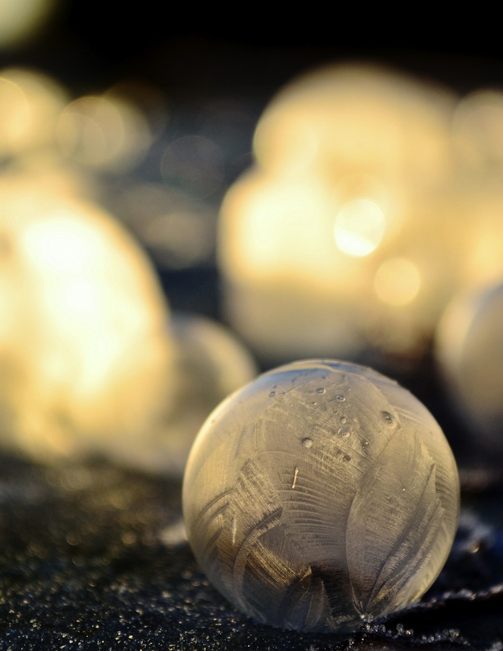 Frozen Bubbles Photography-7