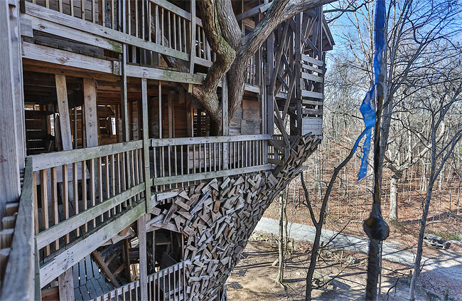 Inside the World's Biggest Tree House1