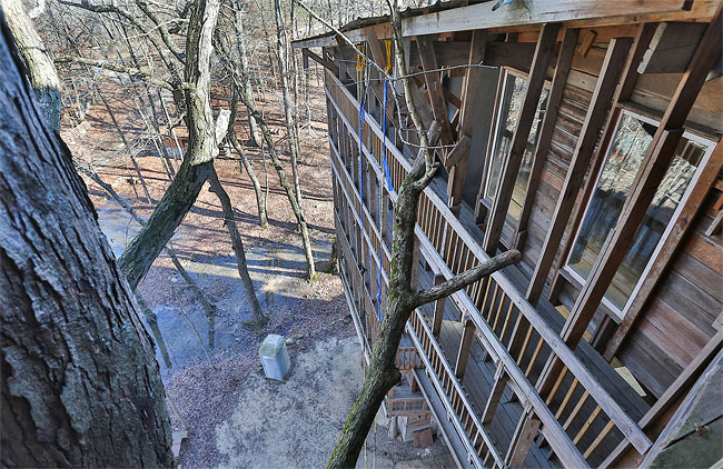 Inside the World's Biggest Tree House12