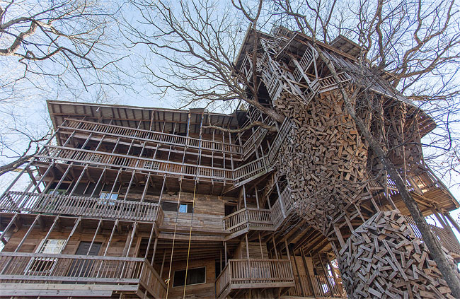Inside the World's Biggest Tree House13