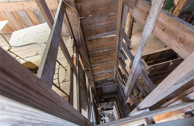 Inside the World's Biggest Tree House2