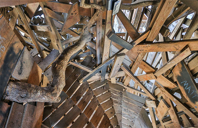 Inside the World's Biggest Tree House5