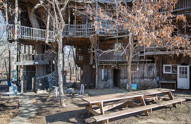 Inside the World's Biggest Tree House6