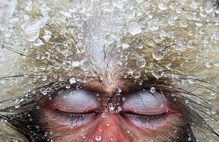Travel Photographer of the Year 2013