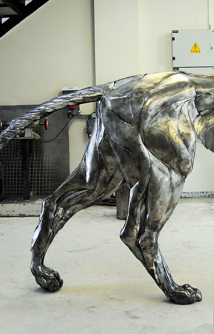 Majestic Lion Made of 4000 Metal Scraps1